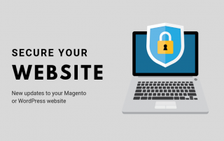 secure your magento website